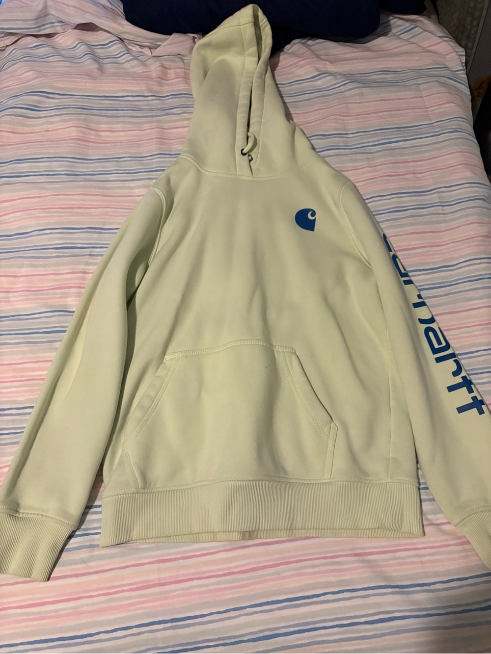 Carhartt  Hooded Sweatshirt in Light Green